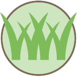 Lawn Aeration