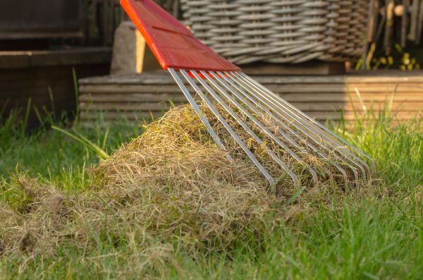 Grass Thatching