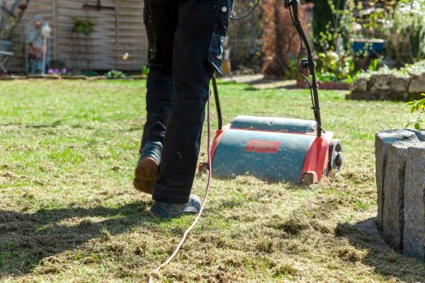 Lawn Power Raking Service