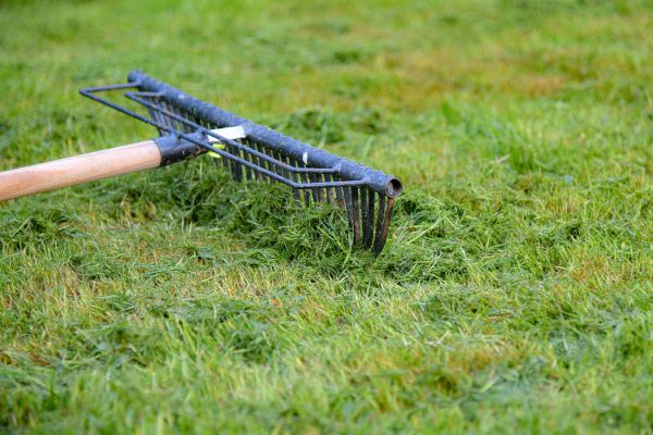 Yard Dethatching Service