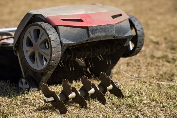 Spring Aeration Service