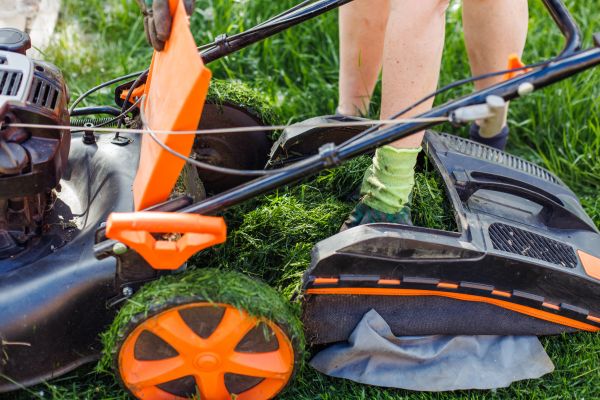 Grass Power Raking Service
