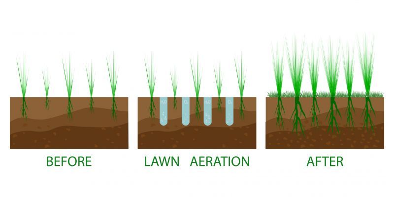 Aeration Service