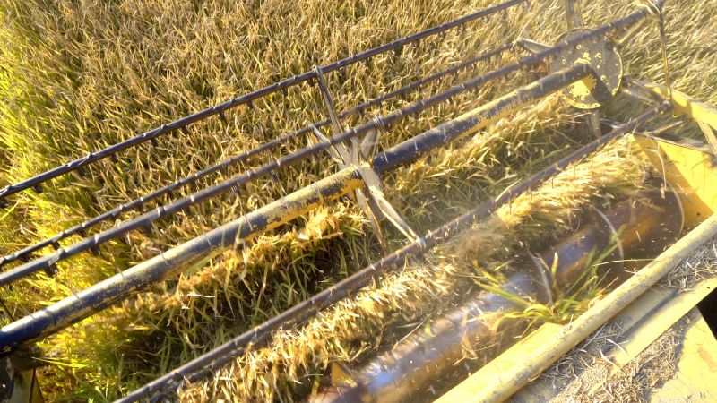 Aeration Equipment in Use