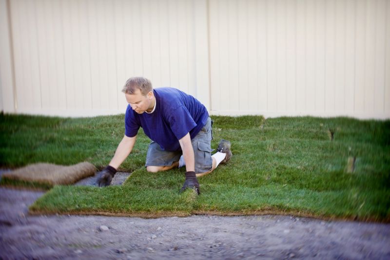 Bentgrass Sod Installation in Ventura County, CA