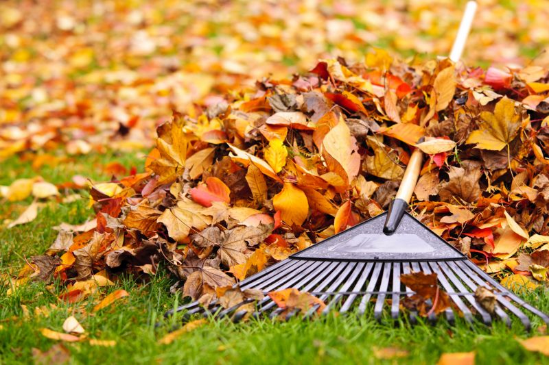 Autumn Lawn Maintenance