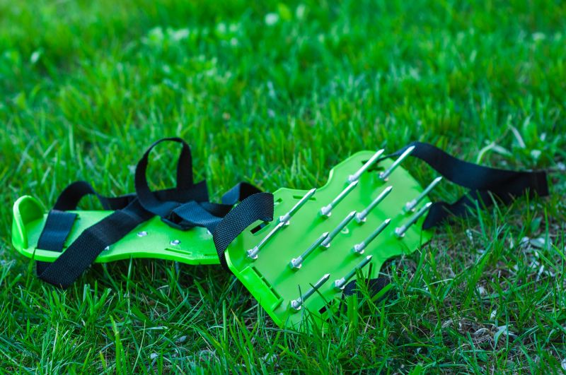 Aeration Service in Action