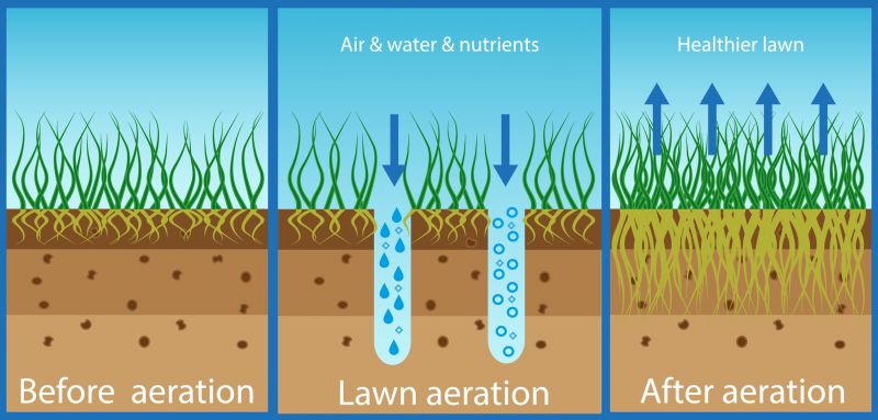 Aeration service consultation